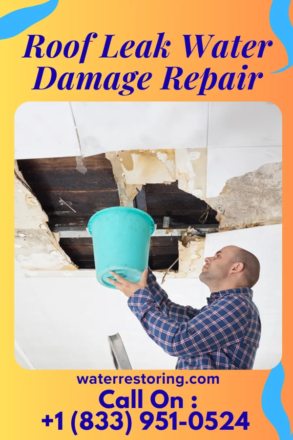 Roof Leak Water Damage Repair in Hudson, IA