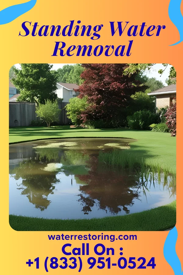 Standing Water Removal in Hudson, IA